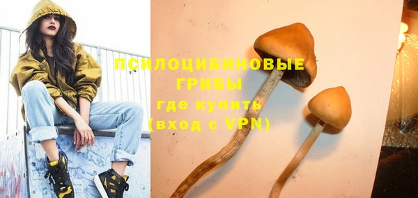 твердый Горняк