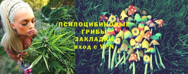 твердый Горняк