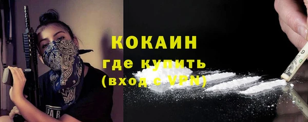 твердый Горняк