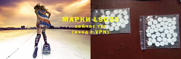 твердый Горняк