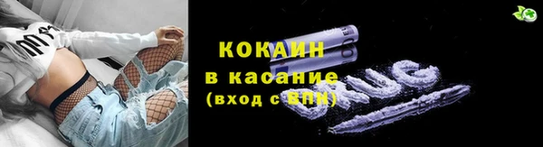 твердый Горняк
