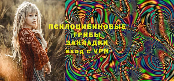spice Горнозаводск